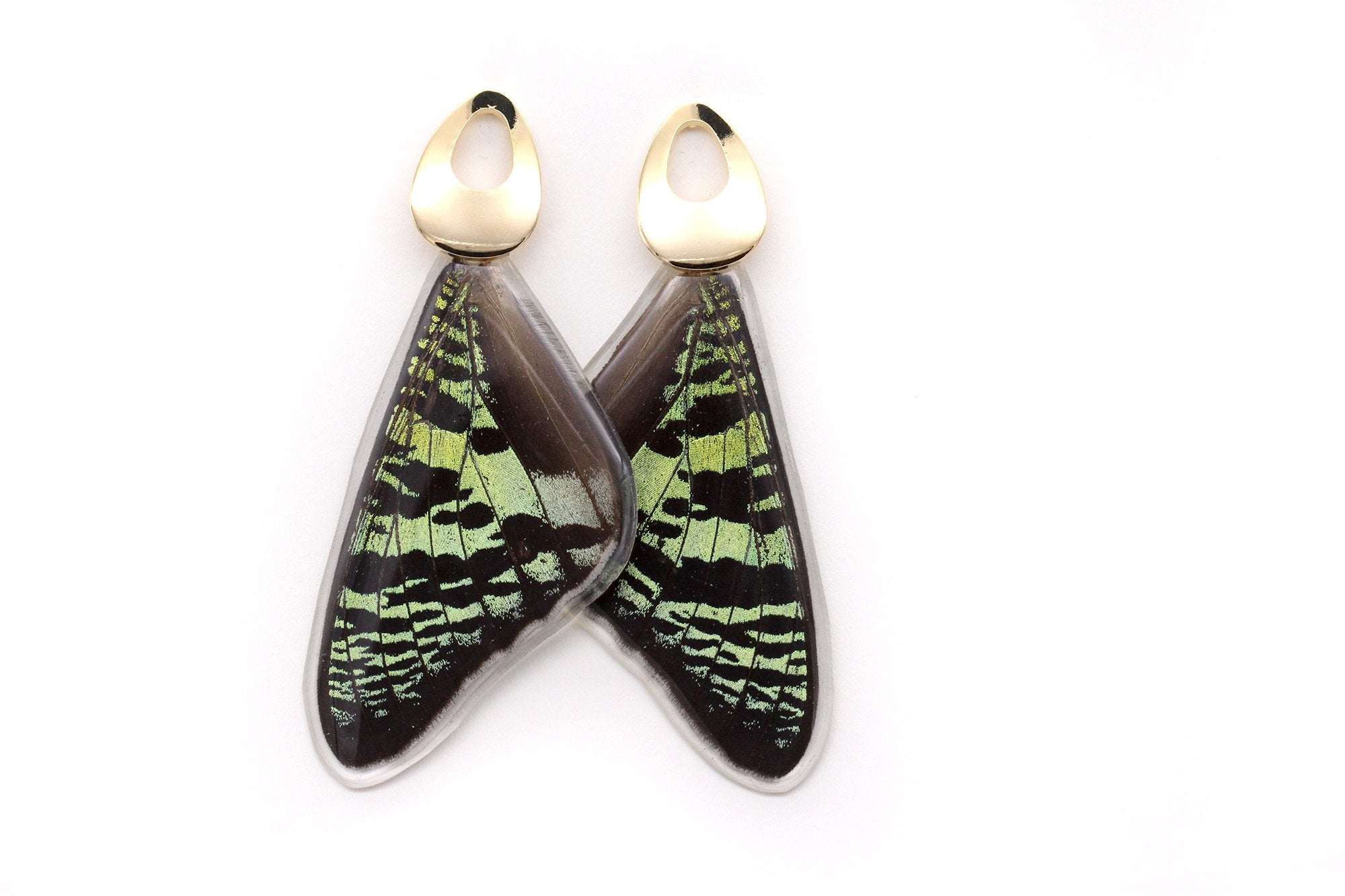 Black earrings, white, butterfly jewelry, glass earrings, insect jewelry, real butterfly popular wing, taxidermy jewelry, recycled butterfly